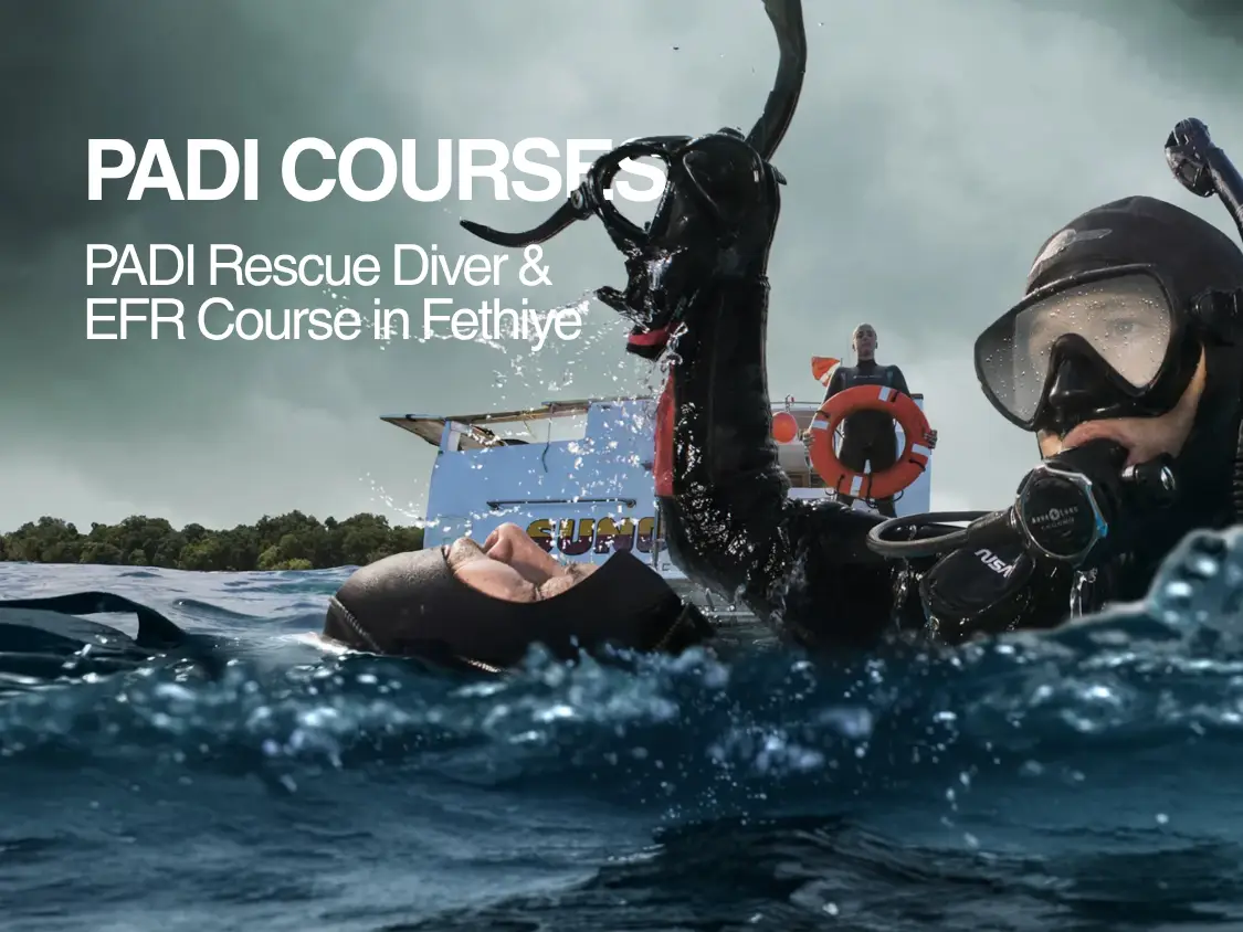 Courses Photos