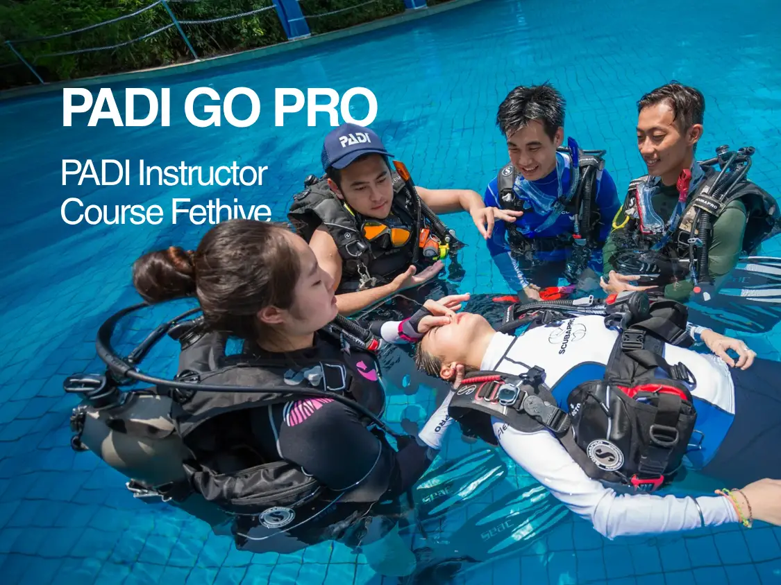 Courses Photos
