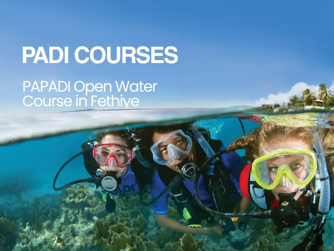Courses Photos