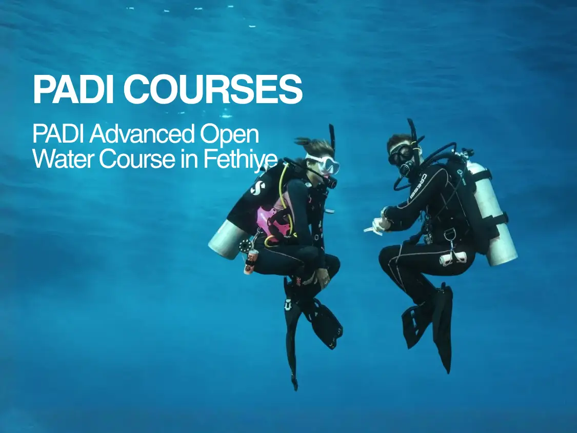Courses Photos